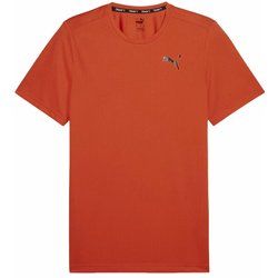 T-shirt męski gładki sportowy Puma ze sklepu: SPORT-SHOP.pl w kategorii: T-shirty męskie - zdjęcie 6BAF450-D40-9631_176366