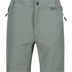 Spodenki męskie na zimę Regatta ze sklepu: SPORT-SHOP.pl w kategorii: Spodenki męskie - zdjęcie 6BAF450-D40-9631_177974