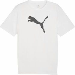 T-shirt męski sportowy z nadrukami Puma ze sklepu: SPORT-SHOP.pl w kategorii: T-shirty męskie - zdjęcie 6BAF450-D40-9631_180668