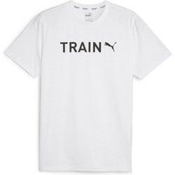 T-shirt męski wiosenny Puma ze sklepu: SPORT-SHOP.pl w kategorii: T-shirty męskie - zdjęcie 6BAF450-D40-9631_184056