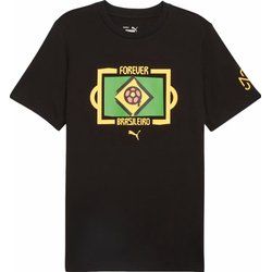 T-shirt męski na lato Puma ze sklepu: SPORT-SHOP.pl w kategorii: T-shirty męskie - zdjęcie 6BAF450-D40-9631_184358