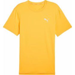 T-shirt męski Puma ze sklepu: SPORT-SHOP.pl w kategorii: T-shirty męskie - zdjęcie 6BAF450-D40-9631_185565