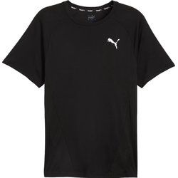 T-shirt męski gładki Puma ze sklepu: SPORT-SHOP.pl w kategorii: T-shirty męskie - zdjęcie 6BAF450-D40-9631_185834
