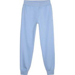 Spodnie damskie na lato 4F ze sklepu: SPORT-SHOP.pl w kategorii: Spodnie damskie - zdjęcie 6BAF450-D40-9631_188728