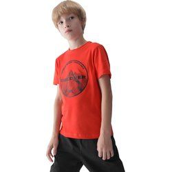 T-shirt chłopięce na zimę 4F ze sklepu: SPORT-SHOP.pl w kategorii: T-shirty chłopięce - zdjęcie 6BAF450-D40-9631_190187