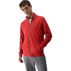 4F - Bluza męska na wiosnę ze sklepu: SPORT-SHOP.pl w kategorii: Bluzy męskie - zdjęcie 6BAF450-D40-9631_190400