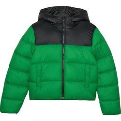 Kurtka chłopięca na zimę casual 4F ze sklepu: SPORT-SHOP.pl w kategorii: Kurtki chłopięce - zdjęcie 6BAF450-D40-9631_190521