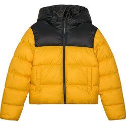 Kurtka chłopięca 4F ze sklepu: SPORT-SHOP.pl w kategorii: Kurtki chłopięce - zdjęcie 6BAF450-D40-9631_190524