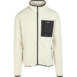 Regatta - Bluza męska na jesień ze sklepu: SPORT-SHOP.pl w kategorii: Bluzy męskie - zdjęcie 6BAF450-D40-9631_191696