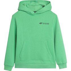 Bluza chłopięca 4F ze sklepu: SPORT-SHOP.pl w kategorii: Bluzy chłopięce - zdjęcie 6BAF450-D40-9631_191975