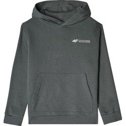 4F - Bluza chłopięca ze sklepu: SPORT-SHOP.pl w kategorii: Bluzy chłopięce - zdjęcie 6BAF450-D40-9631_191976