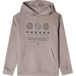 4F - Bluza chłopięca na zimę ze sklepu: SPORT-SHOP.pl w kategorii: Bluzy chłopięce - zdjęcie 6BAF450-D40-9631_191981