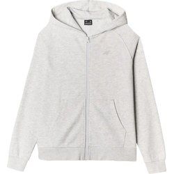 Bluza damska 4F ze sklepu: SPORT-SHOP.pl w kategorii: Bluzy damskie - zdjęcie 6BAF450-D40-9631_194689