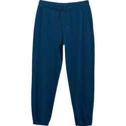 Spodnie męskie 4F ze sklepu: SPORT-SHOP.pl w kategorii: Spodnie męskie - zdjęcie 6BAF450-D40-9631_194698