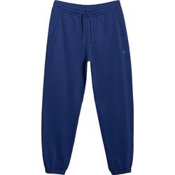 4F - Spodnie męskie ze sklepu: SPORT-SHOP.pl w kategorii: Spodnie męskie - zdjęcie 6BAF450-D40-9631_194700