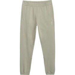 4F - Spodnie męskie ze sklepu: SPORT-SHOP.pl w kategorii: Spodnie męskie - zdjęcie 6BAF450-D40-9631_194705