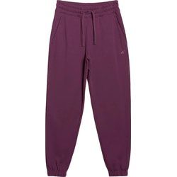 Spodnie damskie 4F ze sklepu: SPORT-SHOP.pl w kategorii: Spodnie damskie - zdjęcie 6BAF450-D40-9631_194750