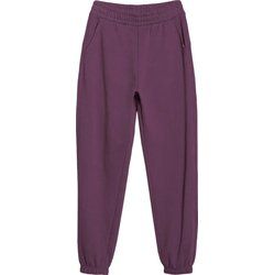 Spodnie damskie 4F ze sklepu: SPORT-SHOP.pl w kategorii: Spodnie damskie - zdjęcie 6BAF450-D40-9631_194757