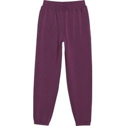 Spodnie damskie 4F ze sklepu: SPORT-SHOP.pl w kategorii: Spodnie damskie - zdjęcie 6BAF450-D40-9631_194765