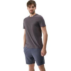 T-shirt męski sportowy 4F ze sklepu: SPORT-SHOP.pl w kategorii: T-shirty męskie - zdjęcie 6BAF450-D40-9631_194951