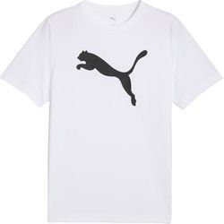 T-shirt męski na lato Puma ze sklepu: SPORT-SHOP.pl w kategorii: T-shirty męskie - zdjęcie 6BAF450-D40-9631_196788