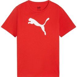 T-shirt chłopięce Puma ze sklepu: SPORT-SHOP.pl w kategorii: T-shirty chłopięce - zdjęcie 6BAF450-D40-9631_196934