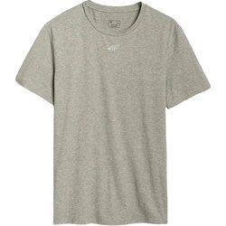 T-shirt męski 4F ze sklepu: SPORT-SHOP.pl w kategorii: T-shirty męskie - zdjęcie 6BAF450-D40-9631_197830