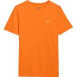 4F - T-shirt męski ze sklepu: SPORT-SHOP.pl w kategorii: T-shirty męskie - zdjęcie 6BAF450-D40-9631_197841