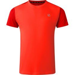Dare2B - T-shirt męski ze sklepu: SPORT-SHOP.pl w kategorii: T-shirty męskie - zdjęcie 6BAF450-D40-9631_198803