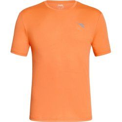 T-shirt męski na lato Diadora ze sklepu: SPORT-SHOP.pl w kategorii: T-shirty męskie - zdjęcie 6BAF450-D40-9631_199278
