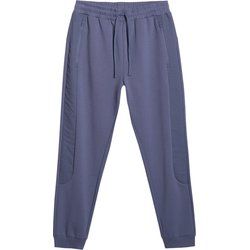 Spodnie męskie 4F ze sklepu: SPORT-SHOP.pl w kategorii: Spodnie męskie - zdjęcie 6BAF450-D40-9631_203203