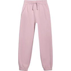 Spodnie dziewczęce 4F ze sklepu: SPORT-SHOP.pl w kategorii: Spodnie dziewczęce - zdjęcie 6BAF450-D40-9631_203350