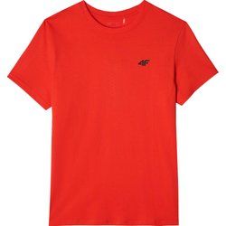 T-shirt męski 4F ze sklepu: SPORT-SHOP.pl w kategorii: T-shirty męskie - zdjęcie 6BAF450-D40-9631_203563