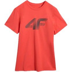 T-shirt męski 4F ze sklepu: SPORT-SHOP.pl w kategorii: T-shirty męskie - zdjęcie 6BAF450-D40-9631_203565