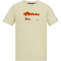 T-shirt męski Regatta ze sklepu: SPORT-SHOP.pl w kategorii: T-shirty męskie - zdjęcie 6BAF450-D40-9631_205957