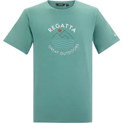 T-shirt męski Regatta ze sklepu: SPORT-SHOP.pl w kategorii: T-shirty męskie - zdjęcie 6BAF450-D40-9631_205959