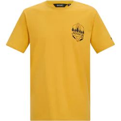 T-shirt męski Regatta ze sklepu: SPORT-SHOP.pl w kategorii: T-shirty męskie - zdjęcie 6BAF450-D40-9631_205961