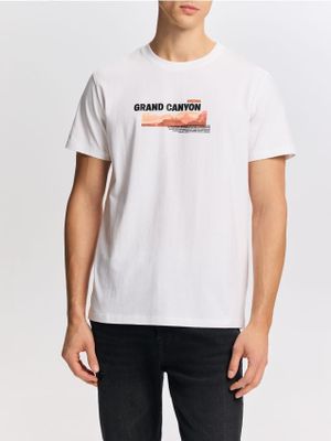 T-shirt męski letni Reserved ze sklepu: Reserved w kategorii: T-shirty męskie - zdjęcie 74CCA4C-3C1-6972_316FP