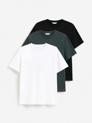 T-shirt męski na lato Reserved ze sklepu: Reserved w kategorii: T-shirty męskie - zdjęcie 74CCA4C-3C1-6972_579IO