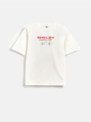 T-shirt chłopięce na wiosnę Reserved ze sklepu: Reserved w kategorii: T-shirty chłopięce - zdjęcie 74CCA4C-3C1-6972_865IX