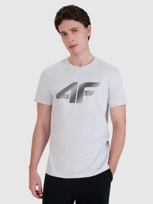 T-shirt męski sportowy w stylu młodzieżowym ze sklepu: Sportstylestory.com w kategorii: T-shirty męskie - zdjęcie 76B84B-544-12149_255210