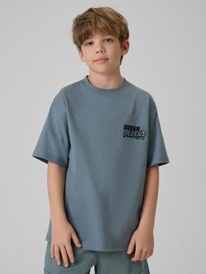T-shirt chłopięce letni ze sklepu: Sportstylestory.com w kategorii: T-shirty chłopięce - zdjęcie 76B84B-544-12149_360826