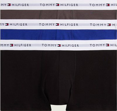Majtki męskie na lato Tommy Hilfiger ze sklepu: Gomez Fashion Store w kategorii: Majtki męskie - zdjęcie 874714-BD9-10338_TU255M000029M93