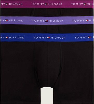 Majtki męskie na lato Tommy Hilfiger ze sklepu: Gomez Fashion Store w kategorii: Majtki męskie - zdjęcie 874714-BD9-10338_TU255M000033P90