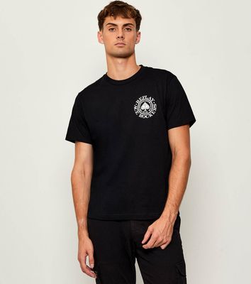 T-shirt męski Replay ze sklepu: Gomez Fashion Store w kategorii: T-shirty męskie - zdjęcie 874714-BD9-10338_RY255M000053098