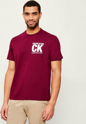 T-shirt męski na lato Calvin Klein ze sklepu: Gomez Fashion Store w kategorii: T-shirty męskie - zdjęcie 874714-BD9-10338_CK261M000048F30