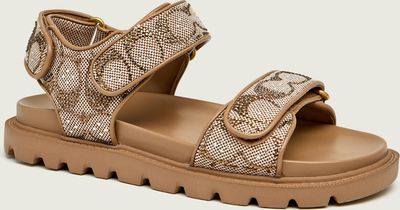 Sandały damskie na lato Coach ze sklepu: Gomez Fashion Store w kategorii: Sandały damskie - zdjęcie 874714-BD9-10338_CN262W000043303