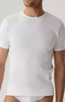 T-shirt męski casual ze sklepu: Intymna w kategorii: T-shirty męskie - zdjęcie 9621D59-45C-2676_229282