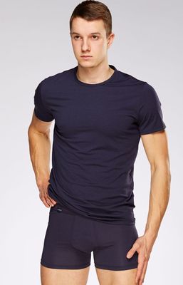 T-shirt męski sportowy ze sklepu: Intymna w kategorii: T-shirty męskie - zdjęcie 9621D59-45C-2676_113529