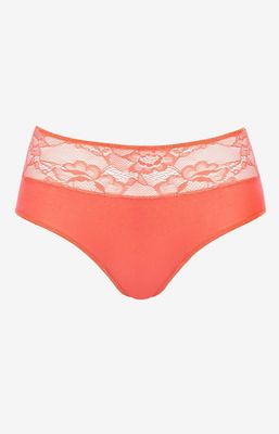 Majtki damskie Pierre Cardin ze sklepu: Primodo w kategorii: Majtki damskie - zdjęcie A0D05E-522-13421_220518